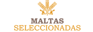 logo-MS