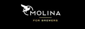 logo-molina-brewers
