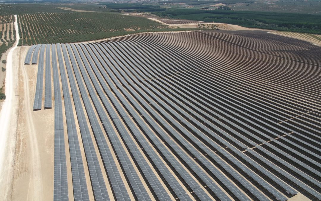 El parque solar VERBUND Pinos Puente abre un hito importante para la transición energética.